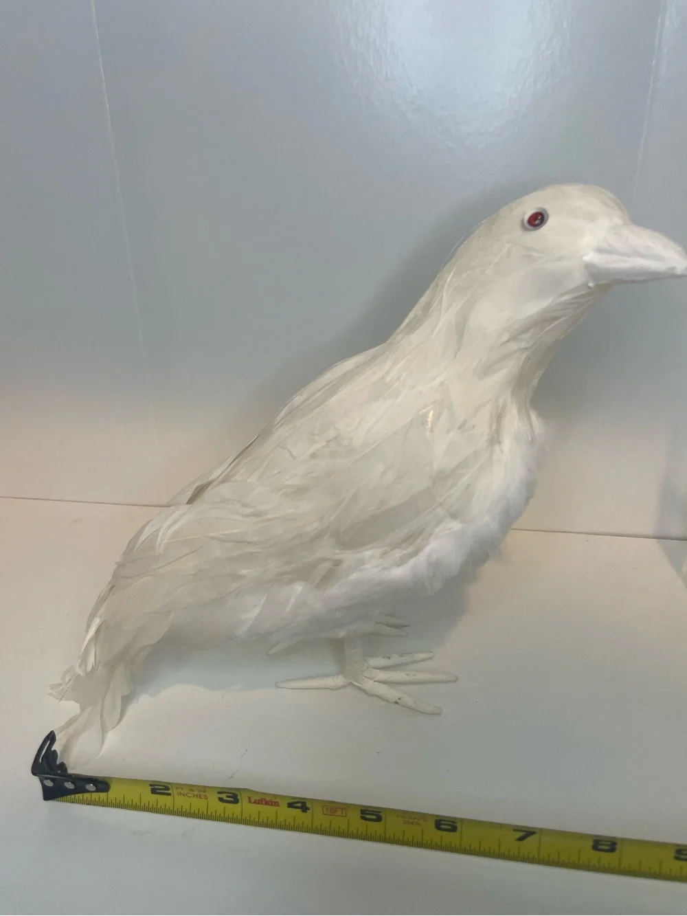 Halloween Decor - White Raven, White Crow Decorative Bird Accent